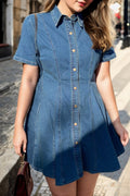 Venus Plus Size Denim Shirt Dress