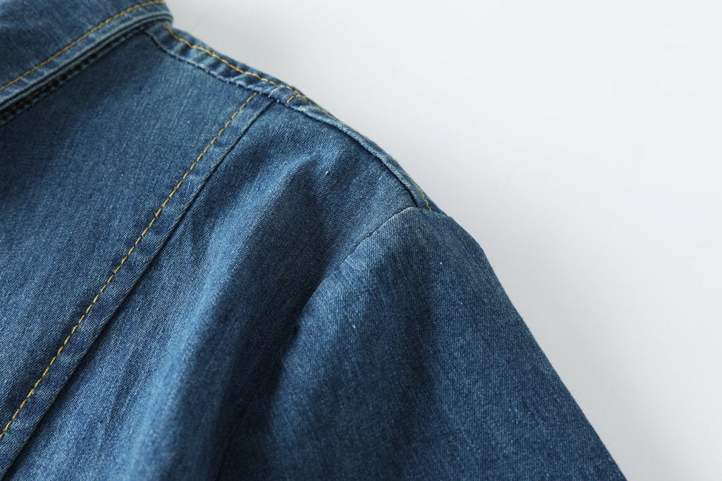 Venus Plus Size Denim Shirt Dress