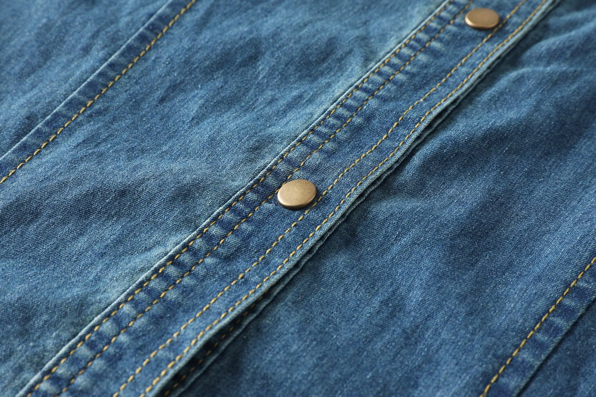 Venus Plus Size Denim Shirt Dress